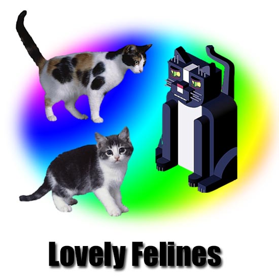   lovely feline